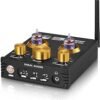 61sXQtVtd9L.__AC_SX300_SY300_QL70_ML2_ Douk Audio P1 Vacuum Tube Preamplifier Review Hi-Fi Bluetooth Receiver and USB DAC