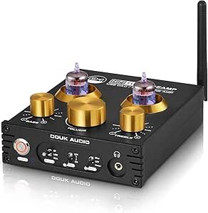 Douk Audio P1 Vacuum Tube Preamplifier Review Hi-Fi Bluetooth Receiver and USB DAC