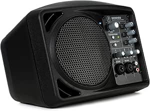 Mackie SRM150 Compact Active PA System Review Portable Power for Musicians