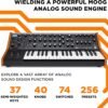 81S0NyrNzQL._AC_SL1500_ MOOG Subsequent 37 Analog Synthesizer review exploring features, sound quality, and performance